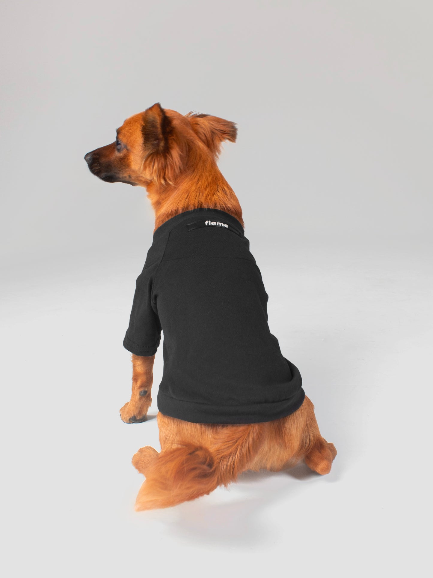 Ropa para perros