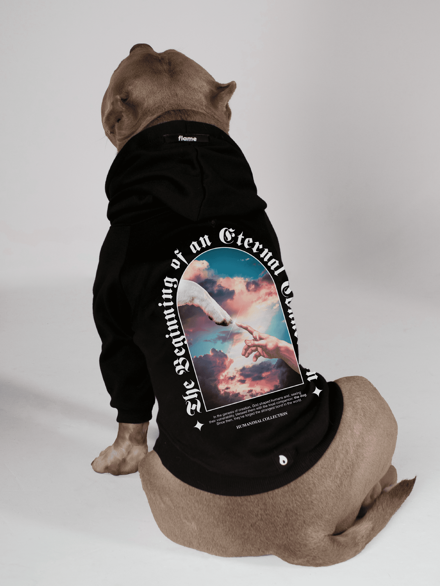 Black Dog Hoodie - The Creation of Adam