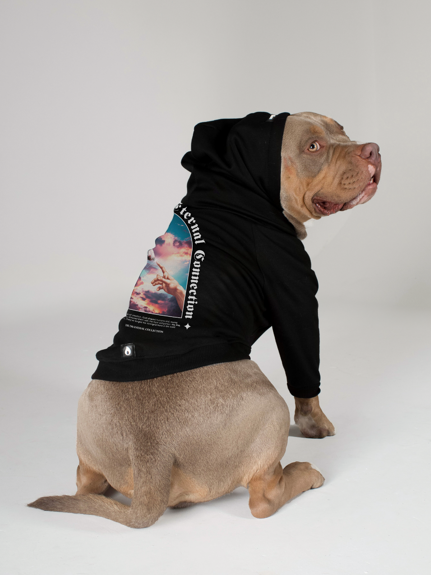Black Dog Hoodie - The Creation of Adam
