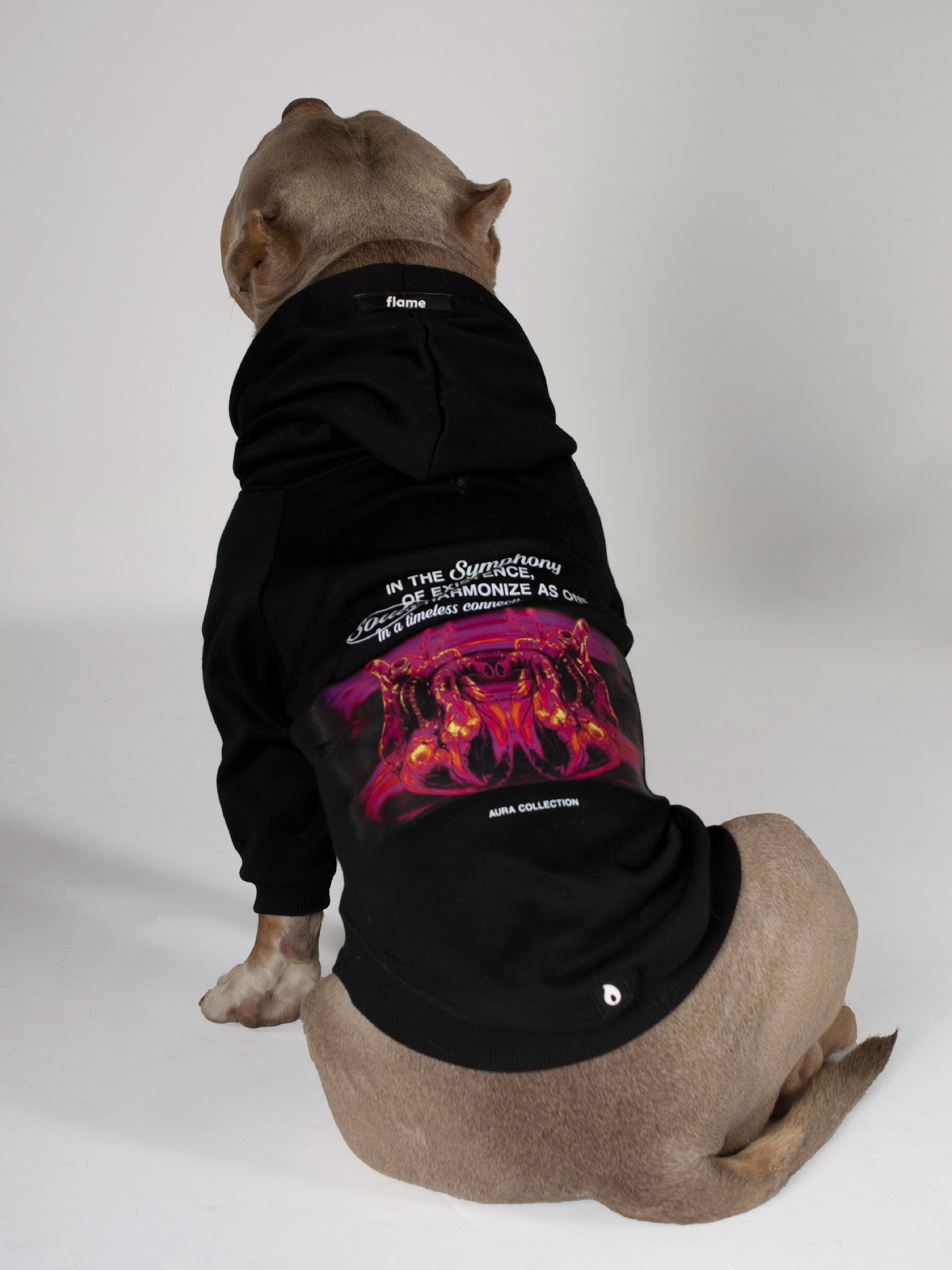 Ropa para perros