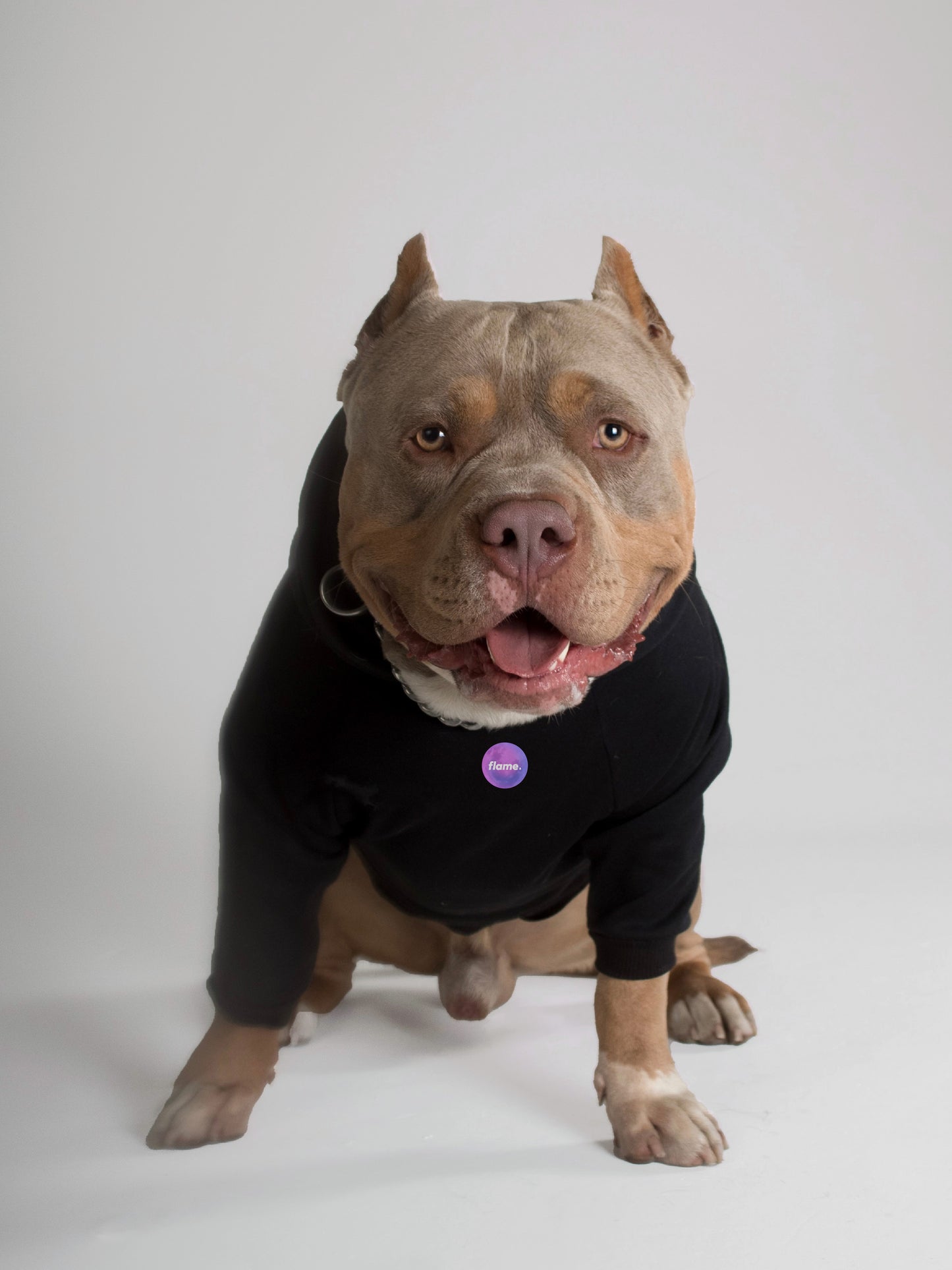 Ropa para perros y gatos