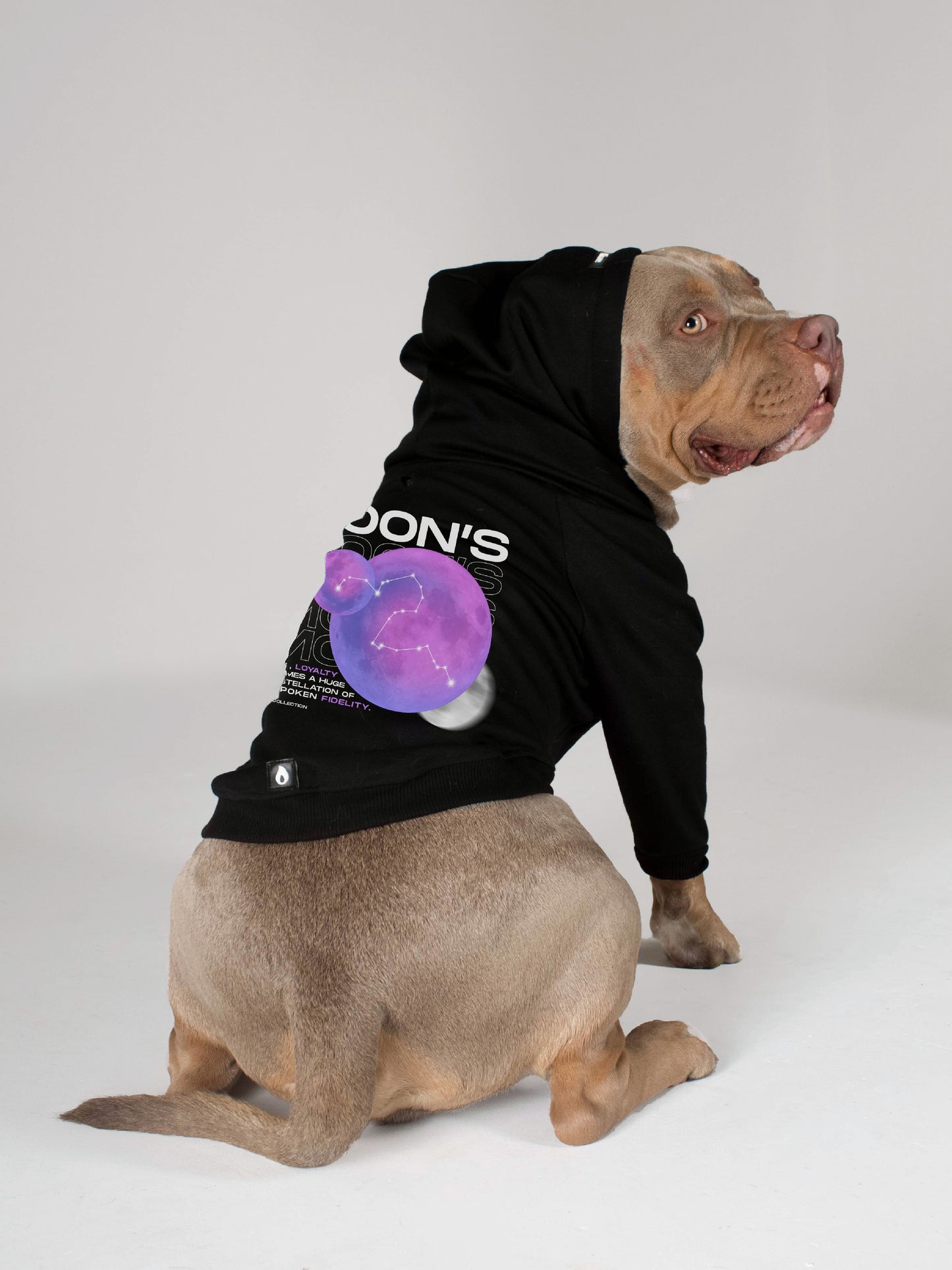Ropa para perros